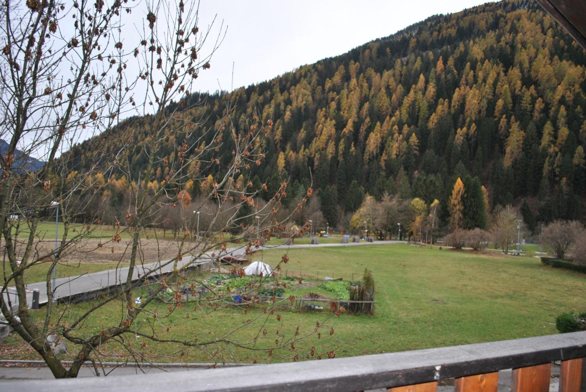 La Pineta - Appartamenti In Villetta Pinzolo Dış mekan fotoğraf