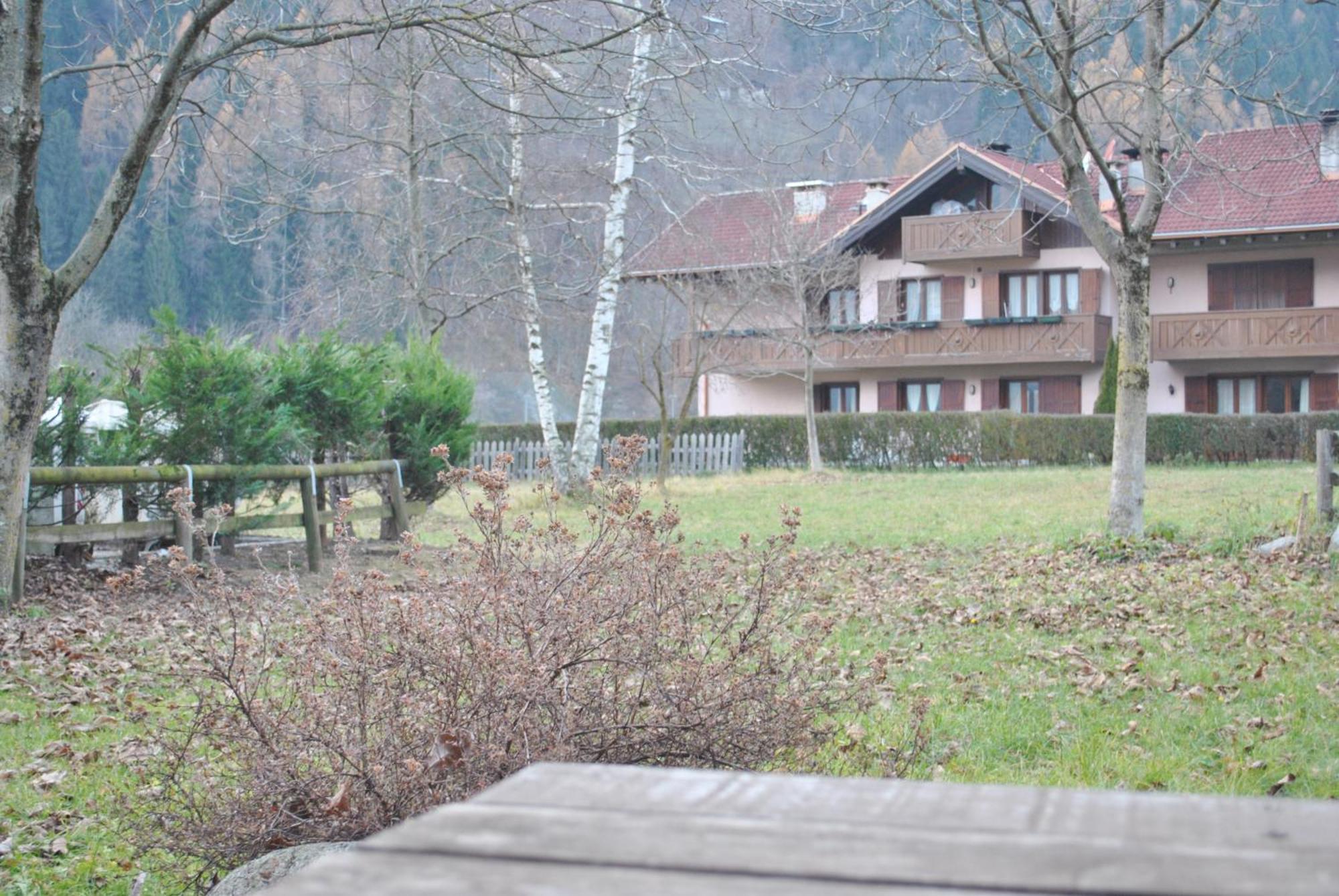 La Pineta - Appartamenti In Villetta Pinzolo Dış mekan fotoğraf