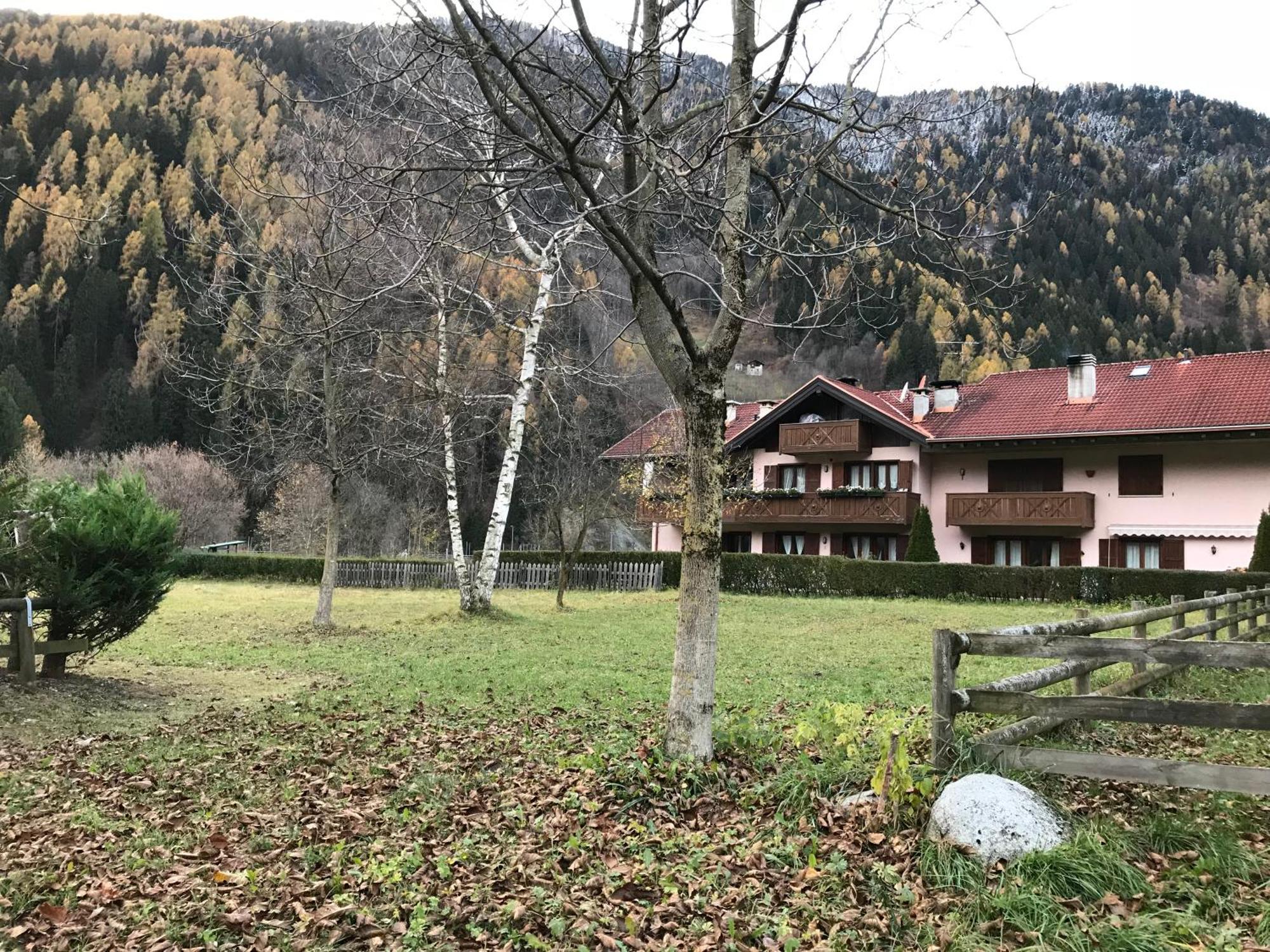 La Pineta - Appartamenti In Villetta Pinzolo Dış mekan fotoğraf